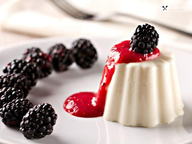 Böğürtlenli Panna Cotta Tarifi 1 – bogurtlenli panna cotta tarifi EakVju5Z